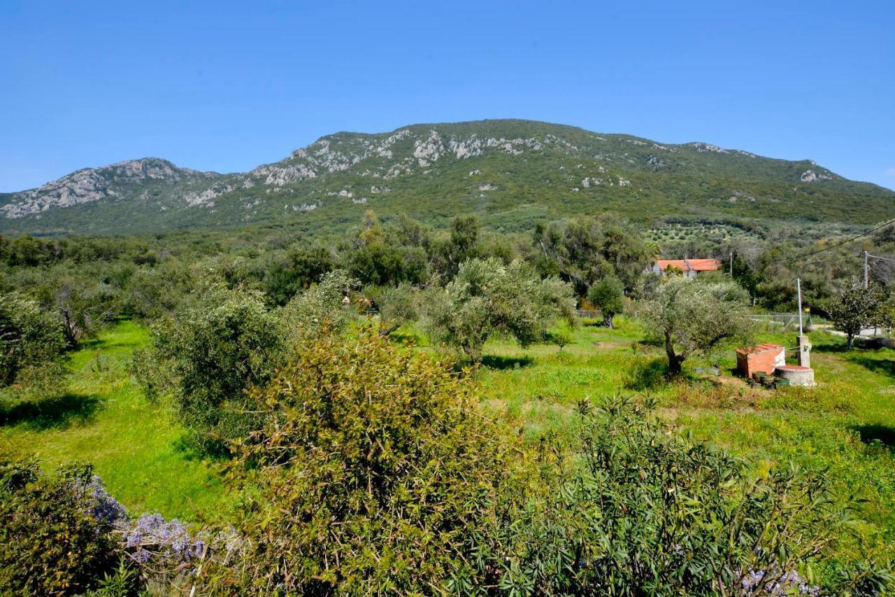 Giokos Daire Ágios Matthaíos Dış mekan fotoğraf